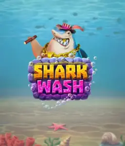 Погрузитесь в уникальным подводным приключением с слотом Shark Wash от Relax Gaming, представляющим яркую визуализацию подводных обитателей в забавной обстановке автомойки. Присоединитесь к веселью, когда акулы и другие морские животные наслаждаются пузырьковой чисткой, включая захватывающие механики вроде бесплатных вращений, вайлдов и специальных бонусов. Идеально для тех, испытывающих веселого приключения в играх с новой тематикой.